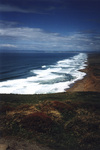 Pt. Reyes National Seashore